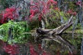 Magnolia Plantations