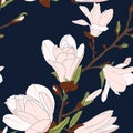 Magnolia tree botanical floral seamless pattern texture. Tender pink white bloom blossom deep dark navy blue background. Royalty Free Stock Photo