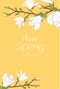 Magnolia tree branch flowers bloom blossom buds. Isolated design elements. Card banner flyer template text placeholder.