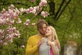 Magnolia tree with pink blooming flowers, couple in love Royalty Free Stock Photo