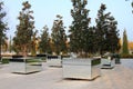 Magnolia trees are planted in boxes framed by mirrors in the Park of the Galician city of Krasnodar. Russia