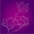 Magnolia vector flower drawing and sketch with black and white line-art Royalty Free Stock Photo