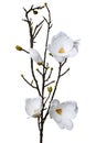 Magnolia white artificial flower
