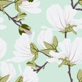 Magnolias Floral seamless pattern. Vanilla mint botanical blooming Motifs scattered random. Seamless vector texture Royalty Free Stock Photo