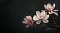 Magnolias: Natural flowers showcased against a dark background.