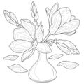 Magnolias in a vase.Coloring page antistress for children and adults. Illustration isolated on white background.