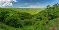 Mago National Park, Omo Valley, Etiopia Royalty Free Stock Photo