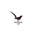 Magpie bird logo template