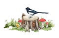 Magpie bird on a wood forest stump. Watercolor illustration. Hand drawn tree stump with a magpie, mushrooms, green grass