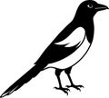 A magpie silhouette vector illustration Royalty Free Stock Photo