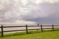 Magpie sitting on the fence with beach view at Bennetts Head Lookout, Forster NSW Australia