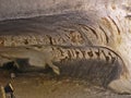Magura Cave in Bulgaria. Prehistoric wall paintings drawings with bat guano. Royalty Free Stock Photo