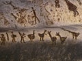 Magura Cave in Bulgaria. Prehistoric wall paintings drawings with bat guano.