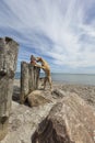 Magyar Vizsla dog on the sunny beach