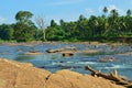 Maha Oya is a major stream in the Sabaragamuwa Province of Sri Lanka. Royalty Free Stock Photo