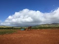 Maha`ulepu Heritage Trail to Makauwahi Cave on Kauai Island, Hawaii.