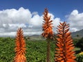 Maha`ulepu Heritage Trail to Makauwahi Cave on Kauai Island, Hawaii.