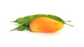 Mahachanok or Rainbow mango on a white background Royalty Free Stock Photo