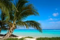 Mahahual Caribbean beach in Costa Maya Royalty Free Stock Photo