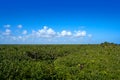 Mahahual Caribbean jungle in Costa Maya