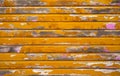 Mahahual Caribbean yellow wood painted wall