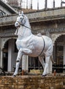 maharana pratap white horse chetak statue at rainy day from flat angle Royalty Free Stock Photo