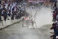 MAHARASHTRA, INDIA, April 2014, People enjoy traditional Bullock cart racing or bailgada sharyat Royalty Free Stock Photo