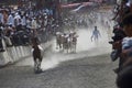 MAHARASHTRA, INDIA, April 2014, People enjoy traditional Bullock cart racing or bailgada sharyat Royalty Free Stock Photo