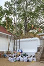 The Mahavihara and Sri Maha Bodhi tree at Anuradhapura in Sri Lanka. Royalty Free Stock Photo