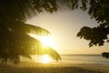 Mahe island, Seychelles. Sunset beach. Palms.