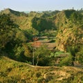 Maheshkhali Island Landscape