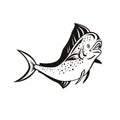 Mahi-mahi or Common Dolphinfish Jump Up Retro Black and White Royalty Free Stock Photo