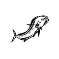 Mahi-mahi or Common Dolphinfish Jumping Up Retro Black and White Royalty Free Stock Photo