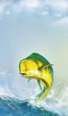 Mahi mahi or dolphin fish on back. Mahi mahi yellow fish realistic illustration. A large predatory fish jumps out of the water