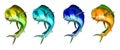 Big set Mahi mahi or dolphin fish on white. Royalty Free Stock Photo