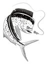Mahi Mahi Fish Catching Fishing Lure Illustration Black and White Royalty Free Stock Photo