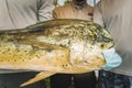 Mahi fish with face mask