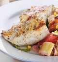 Mahi Mahi Fillets with Salad Royalty Free Stock Photo