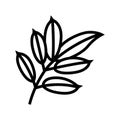 mahogany leaf line icon vector illustration Royalty Free Stock Photo