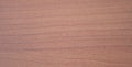 Mahogany, natural wood texture close up shot Royalty Free Stock Photo