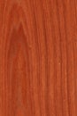 Mahogany (wood texture) Royalty Free Stock Photo