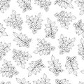 Mahonia aquifolium or Oregon grape  bush branch seamless pattern with leaves and berries in black and white color. Royalty Free Stock Photo