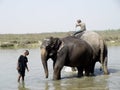 Mahout and Elephant