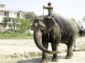 Mahout in Elephant