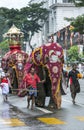 Ceremonial elephants move along a street at Kandy in Sri Lanka.