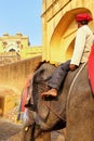 Mahout riding decorated elephant on the cobblestone path to Amber Fort near Jaipur, Rajasthan, India. Royalty Free Stock Photo
