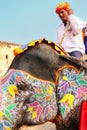 Mahout riding decorated elephant on the cobblestone path to Amber Fort near Jaipur, Rajasthan, India