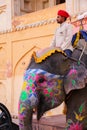 Mahout riding decorated elephant inside Jaleb Chowk main courty