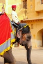 Mahout riding decorated elephant inside Jaleb Chowk main courty