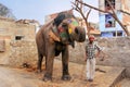 Mahout standing by the painted elephant at small elephant quarters